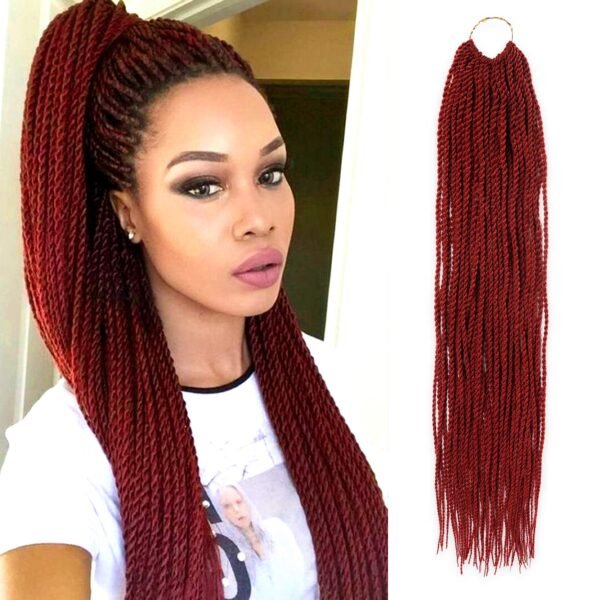 Mini Senegal Braid F1B 118