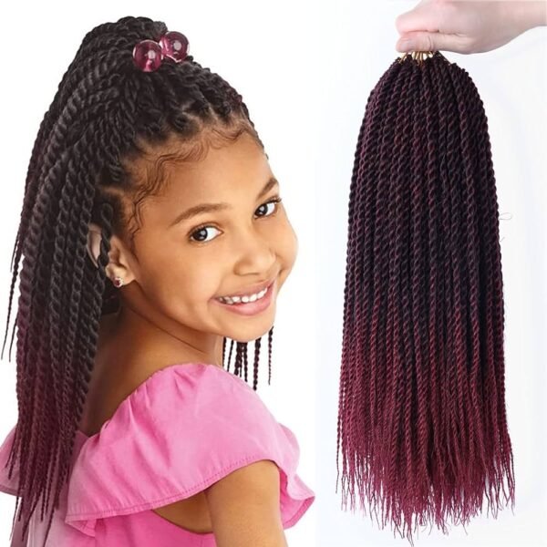 senegal braids 14
